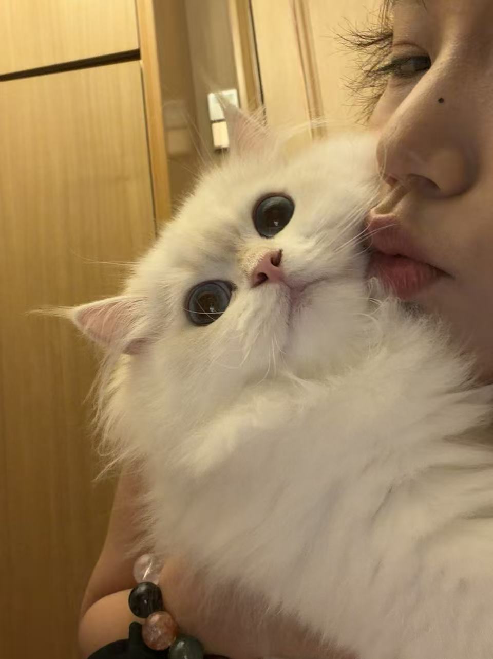 元宝